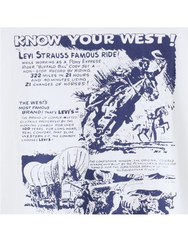 Camiseta Relaxed Fit Graphic Levi´s®